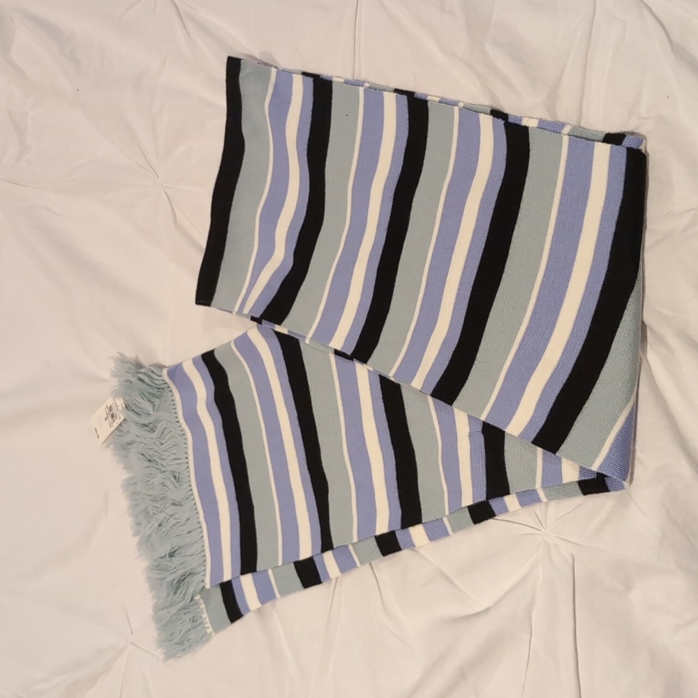 Ann Taylor Scarf